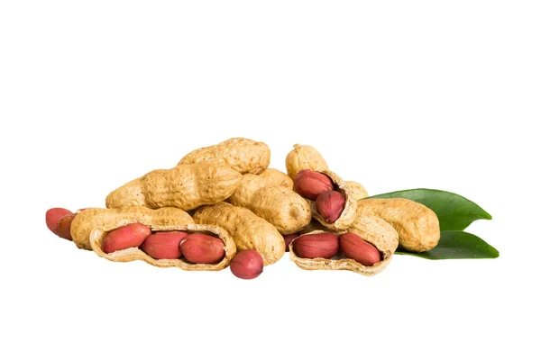 CACAHUATE VAINA