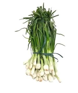 Cebolla Cambray manojo fresco de distribuidora mayorista en Querétaro