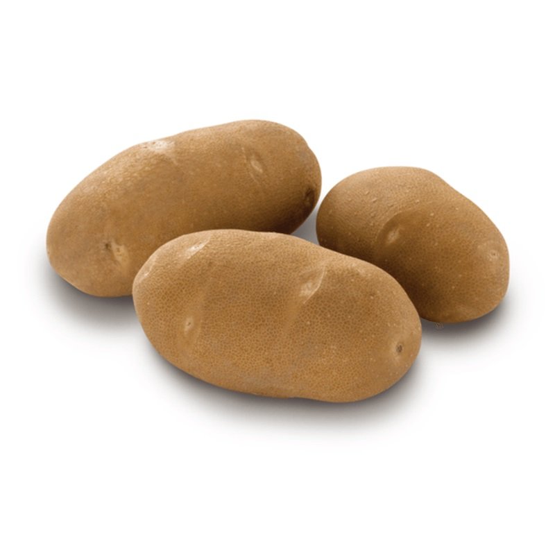 PAPA RUSSET