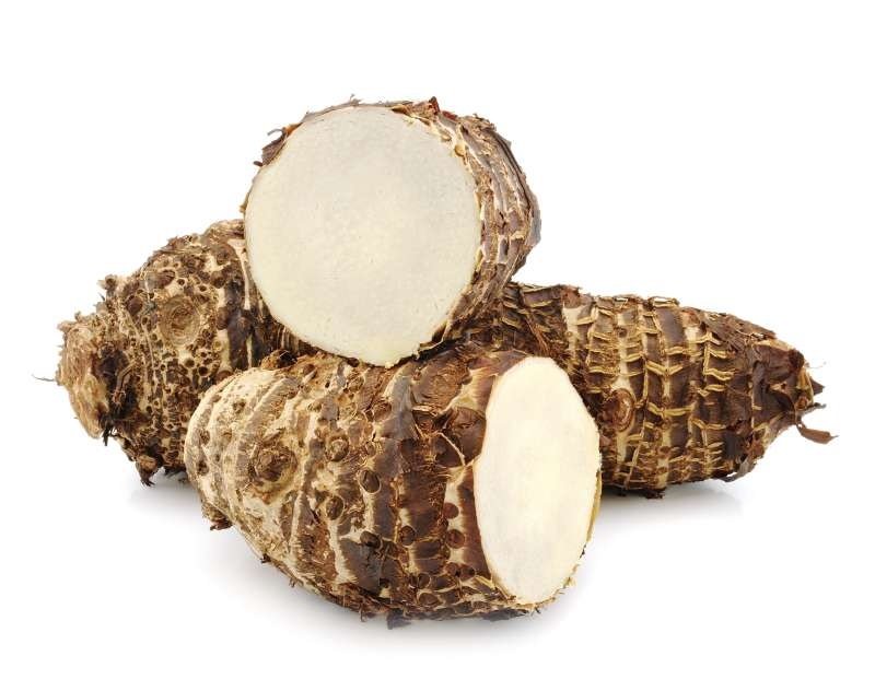 MALANGA