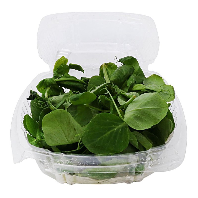 Brote de chícharo fresco gourmet 100g en domo transparente de Distribuidora Hermanos Rojas