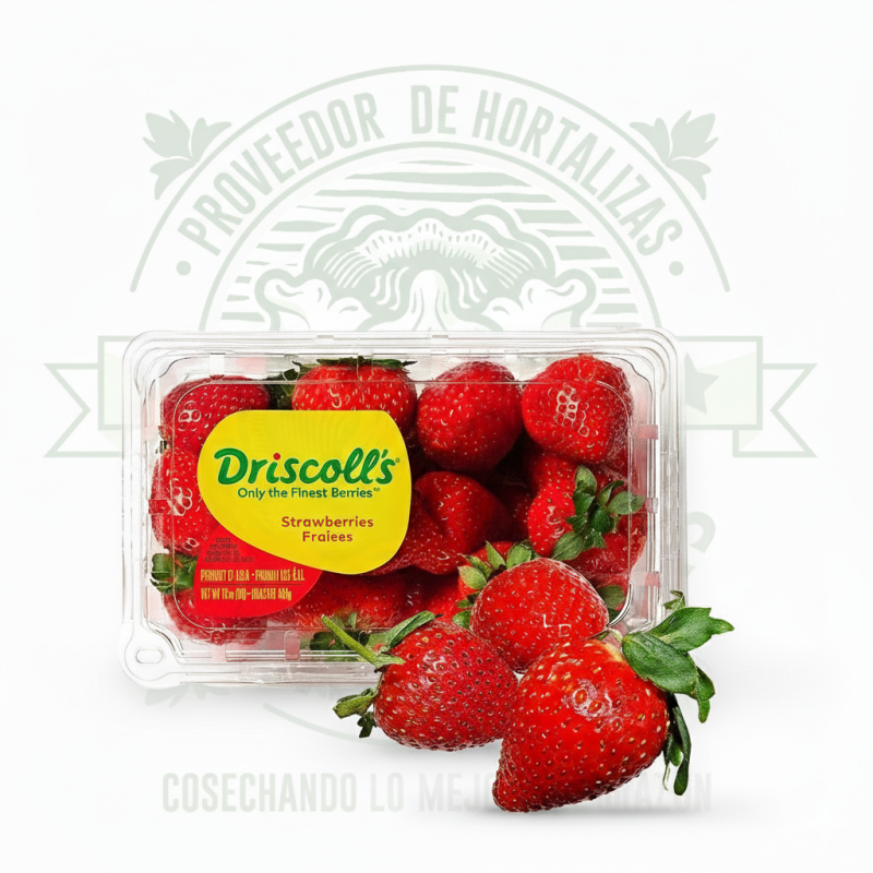 Domo de fresas frescas 480 gramos, frutas rojas de calidad premium para distribuidora