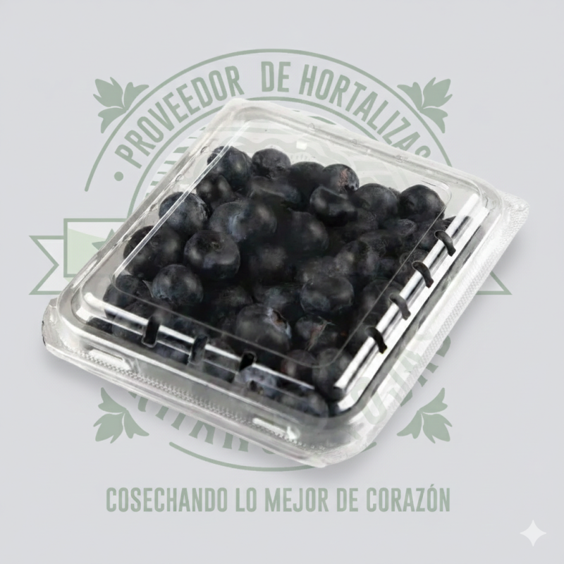 Domo de arándanos blueberries frescos 170 gramos, fruta premium para restaurantes