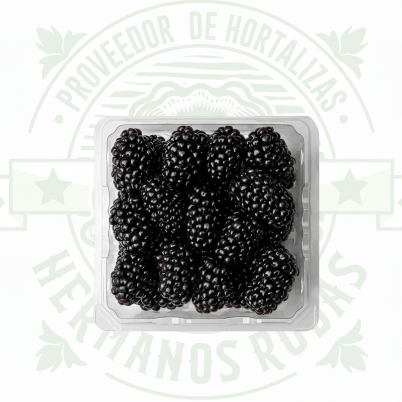 Domo de zarzamoras frescas 170 gramos, frutas negras aromáticas de calidad premium