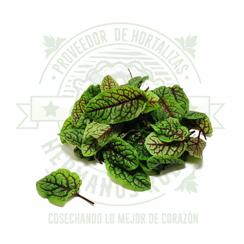 Brote de Sorrel Argentino fresco gourmet, sabor ácido cítrico para restaurantes