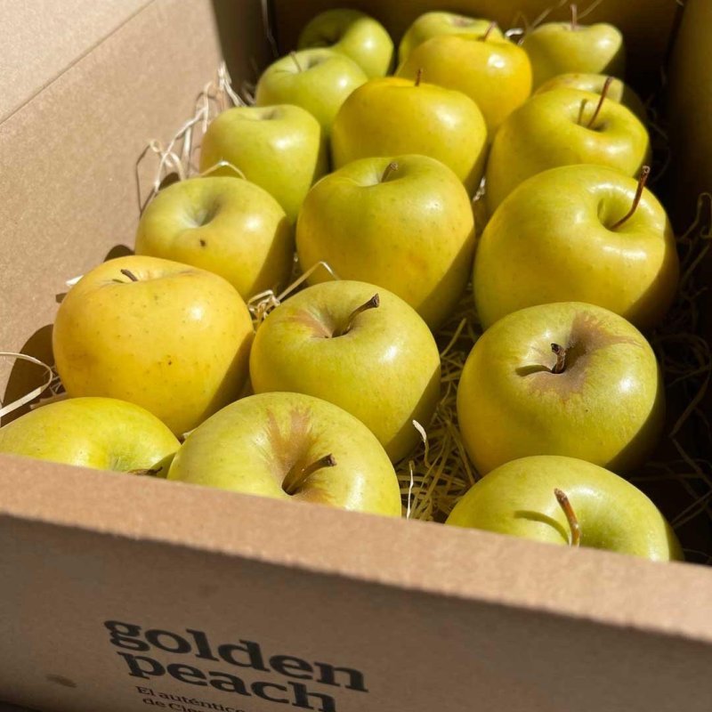 CAJA MANZANA GOLDEN fresco en Querétaro - Distribuidora Hermanos Rojas