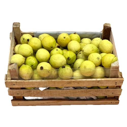 Caja de guayabas frescas de alta calidad para venta mayoreo Querétaro