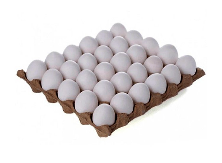 HUEVO BLANCO