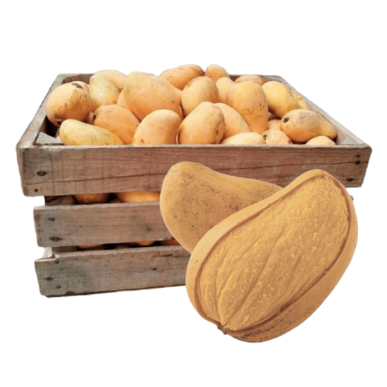 Caja de Mango Ataúlfo premium extra grande 25kg para mayoreo