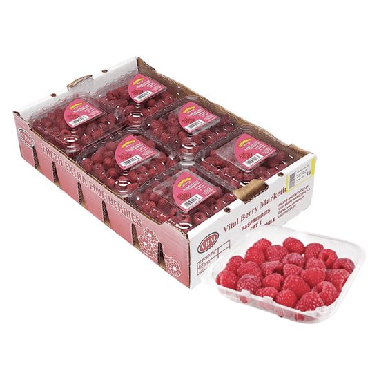 Caja de frambuesa con 12 domos de 170 gramos cada uno, producto de mayoreo fresco