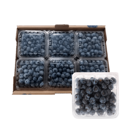 Caja de mora azul blueberries con 12 domos de 170 gramos cada uno