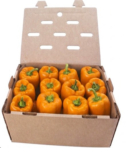 Caja de pimiento morrón naranja fresco 10 kilogramos calidad premium mayoreo