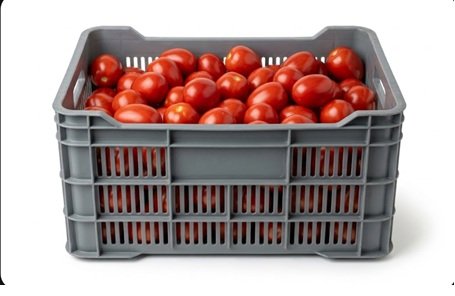 Caja de jitomate seleccionado saladet fresco 30kg de primera calidad para mayoreo