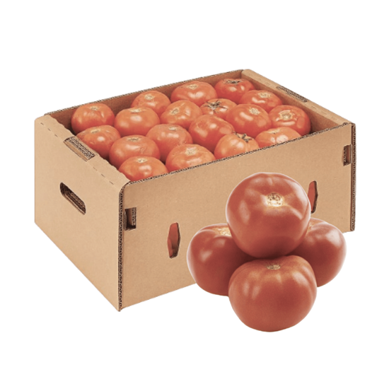 Jitomate bola premium caja 10kg fresco directo de Querétaro