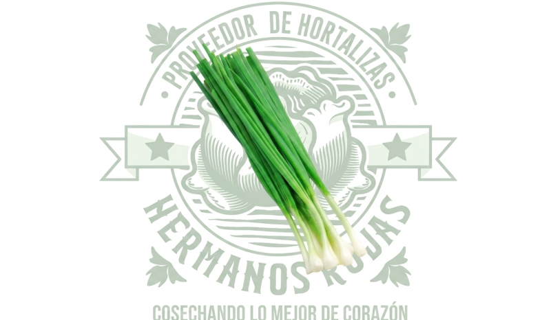 Poro Baby fresco por pieza, hortaliza premium de Distribuidora Hermanos Rojas Querétaro