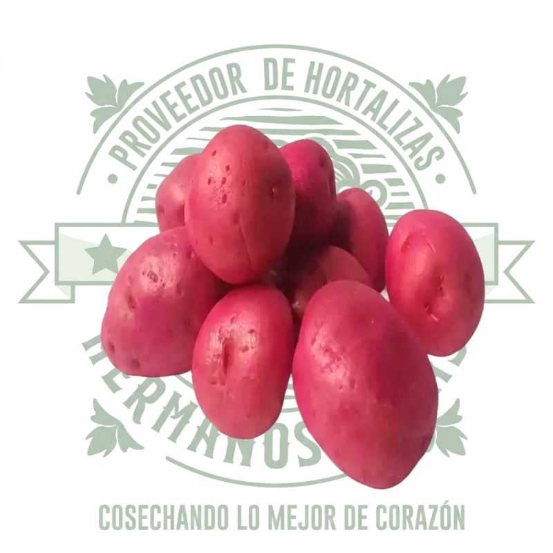Papa Cambray fresca de tamaño pequeño con piel roja suave, ideal para restaurantes en Querétaro