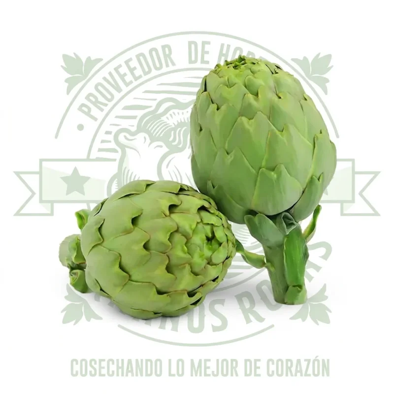 Alcachofas frescas de calidad premium distribuidas por Hermanos Rojas en Querétaro