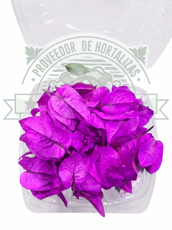 FLOR COMESTIBLE (BUGAMBILIA) en Querétaro - Distribuidora Hermanos Rojas