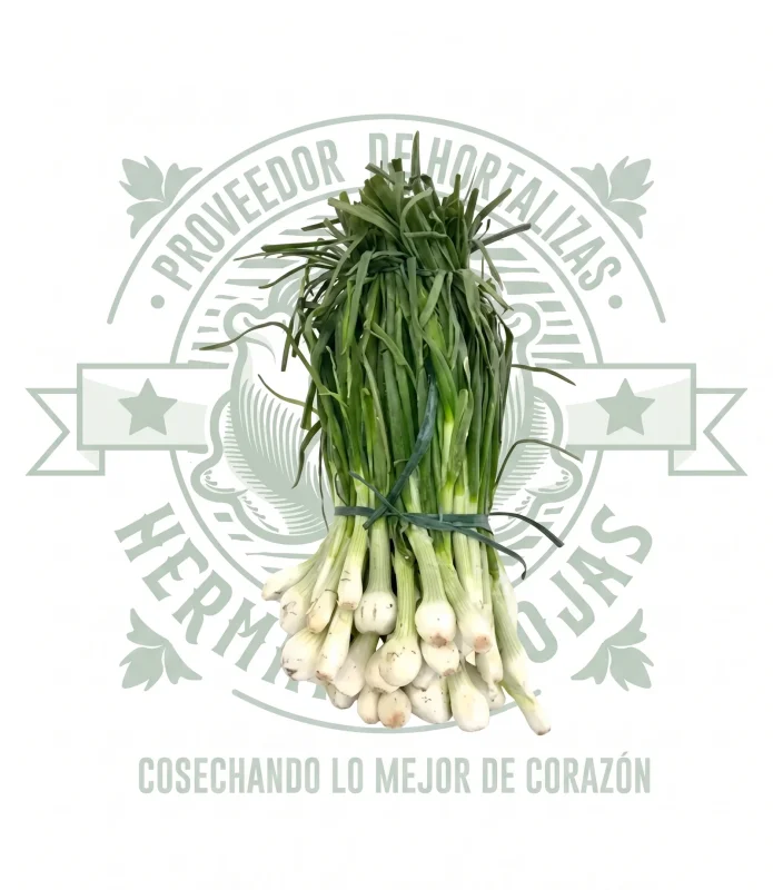 CEBOLLA CAMBRAY MANOJO