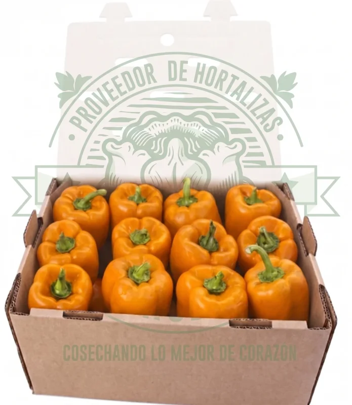 PIMIENTO MORRON NARANJA CALIDAD (10kg aprox.)