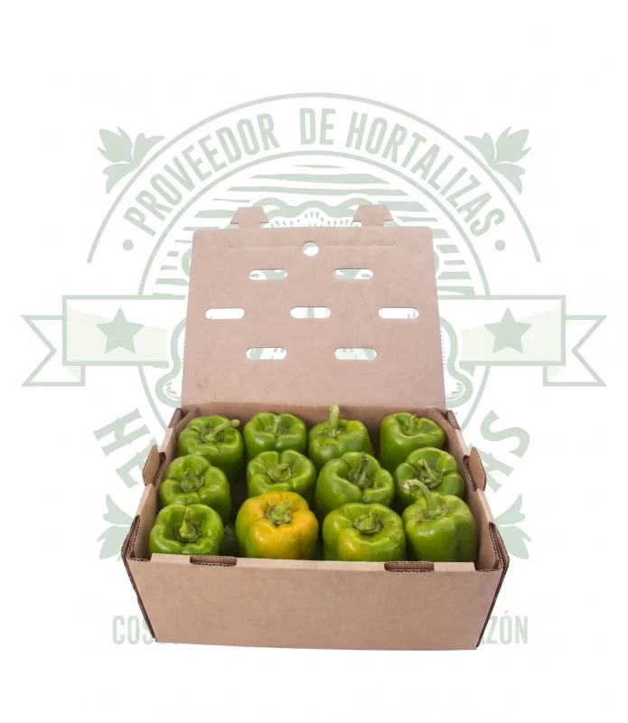 Pimiento morrón verde fresco 10kg caja mayoreo calidad premium Querétaro