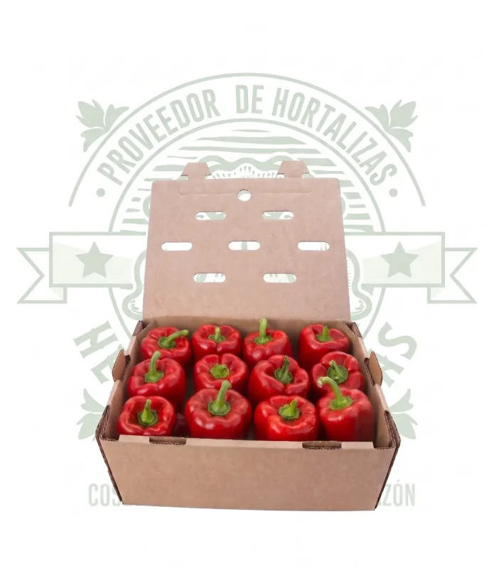 Pimiento morrón rojo de primera calidad en caja de 10kg para mayoreo