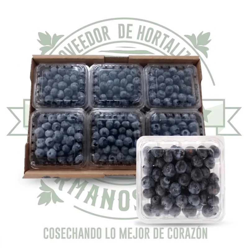 MORA AZUL (BLUEBERRIES) CAJA CON 12 DOMOS DE 170g c/u