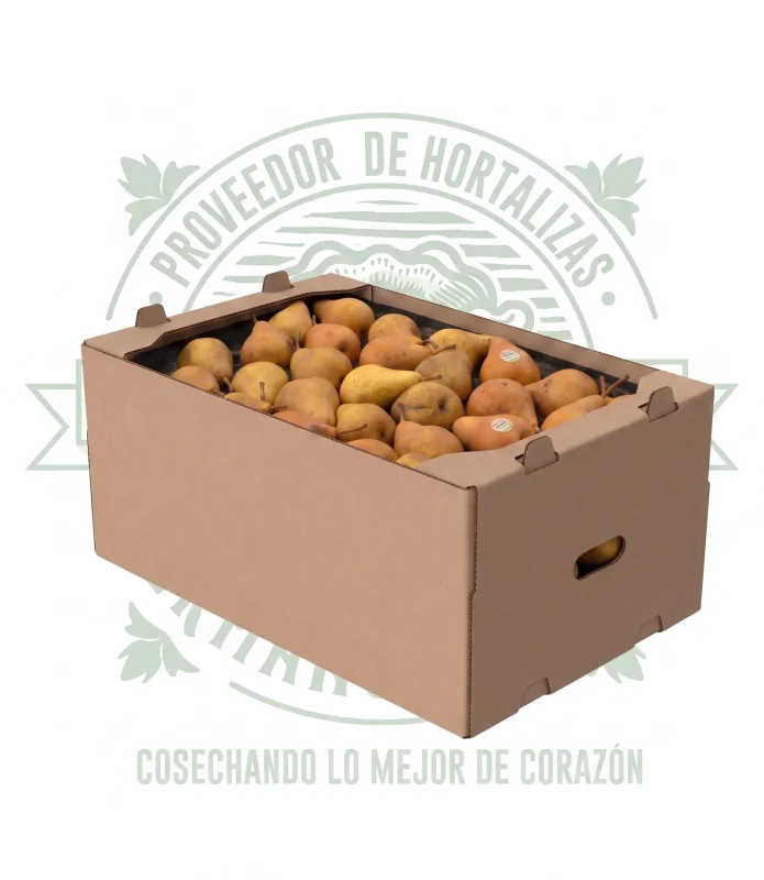 Pera Bosco fresca en caja de mayoreo, distribuida por Hermanos Rojas en Querétaro