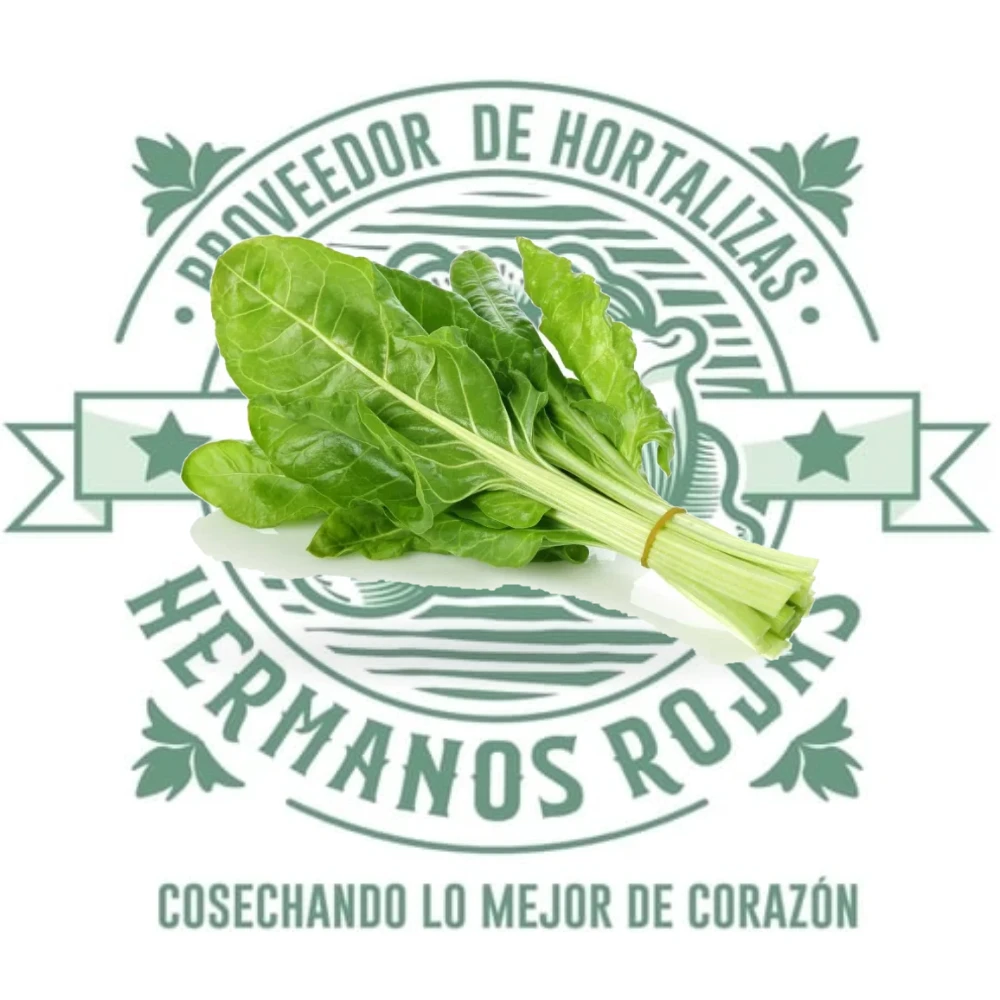 Acelga fresca con pencas blancas y hojas verdes intensas, venta por kg