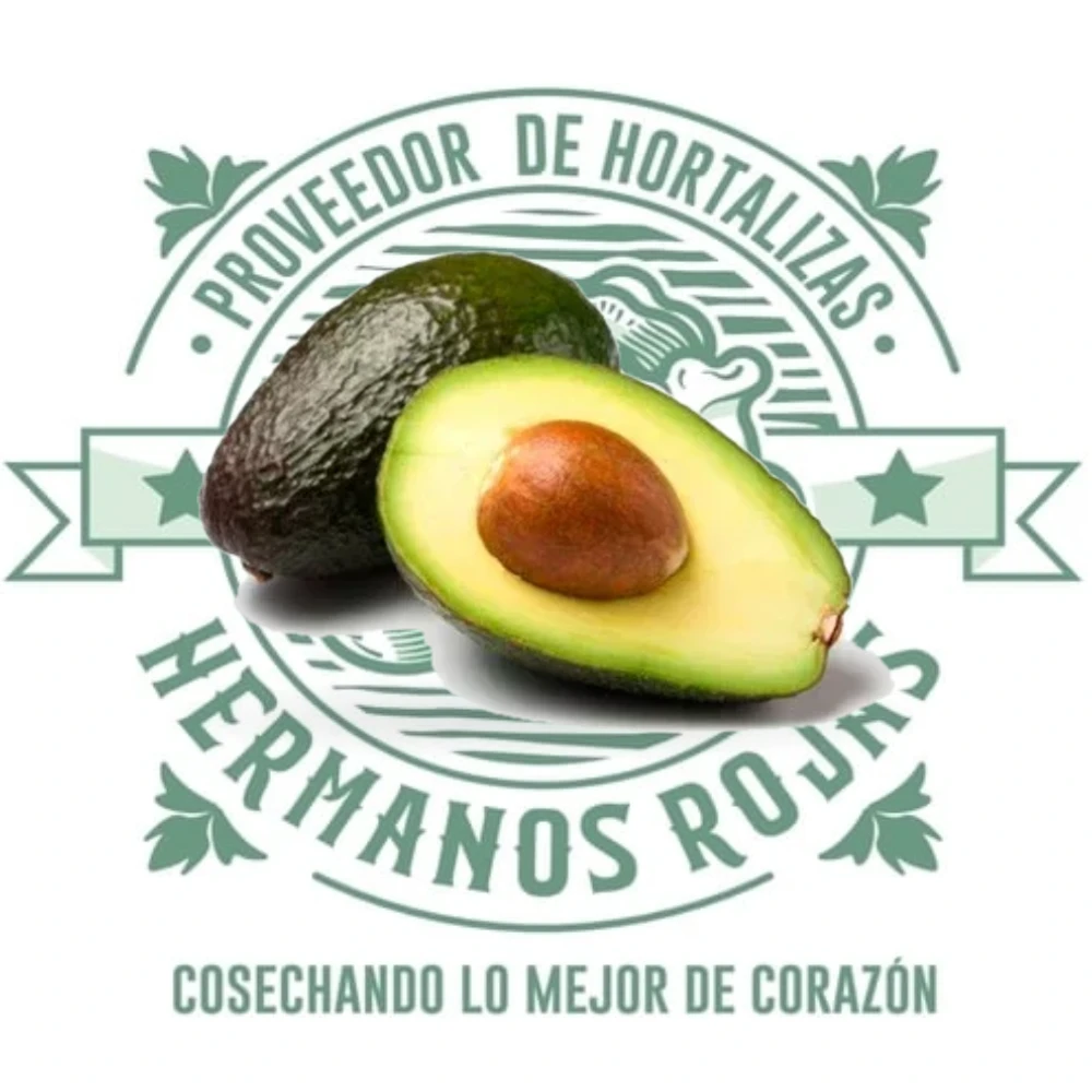 AGUACATE 1RA