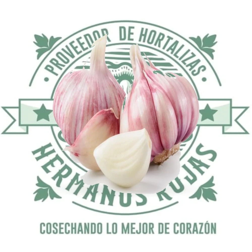 Ajo fresco de calidad premium vendido por kilogramo en Querétaro