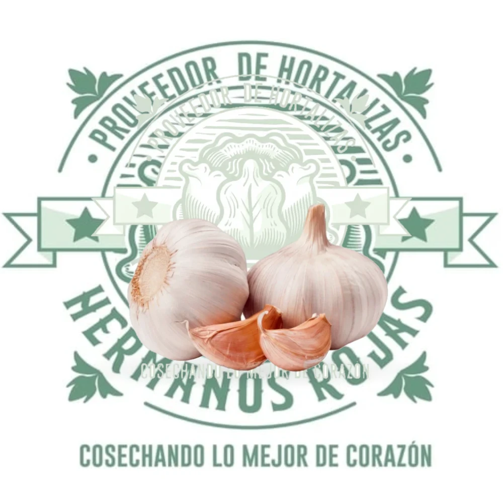 Ajo Macho Gourmet fresco de Distribuidora Hermanos Rojas Querétaro