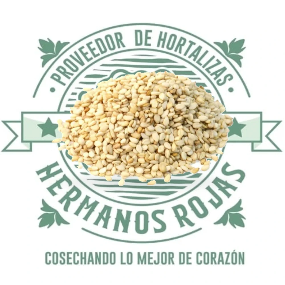 Ajonjolí blanco natural de alta calidad en grano, distribuido por Hermanos Rojas en Querétaro