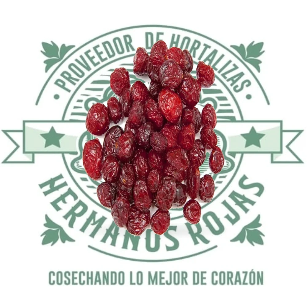 Arándanos deshidratados de alta calidad de Distribuidora Hermanos Rojas en Querétaro, México