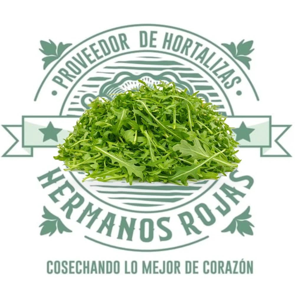 Arúgula fresca gourmet con hojas verdes intensas y sabor apimentado