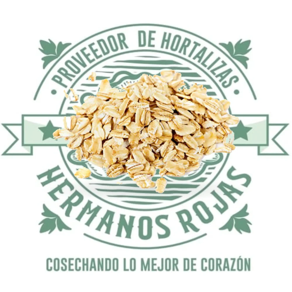 Hojuelas de avena integral natural para venta mayorista en Querétaro