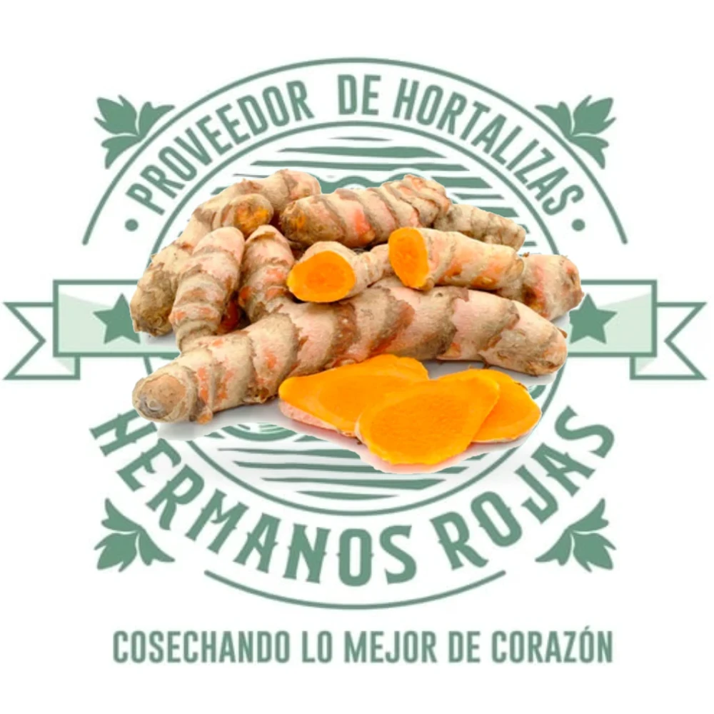 Azafrán premium fresco en hebras, especias de calidad para restaurantes