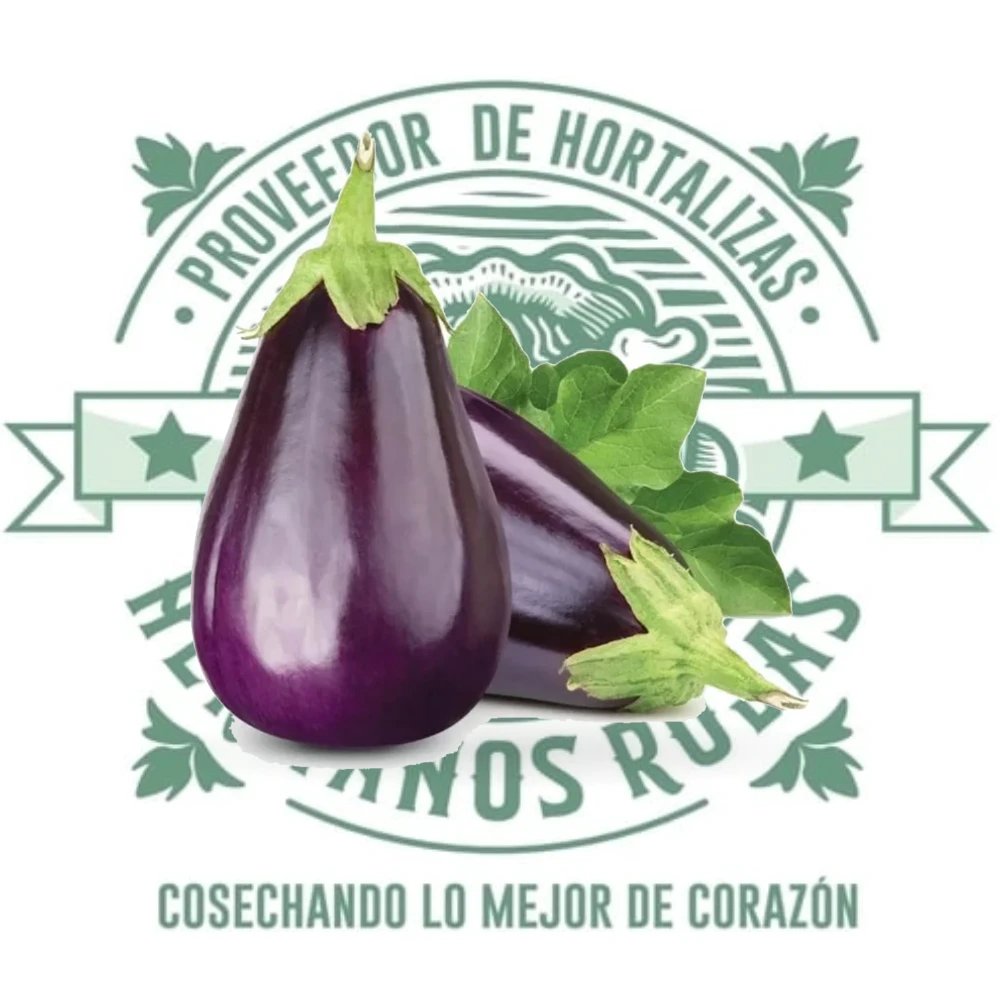 Berenjena fresca de calidad premium distribuida por Hermanos Rojas en Querétaro