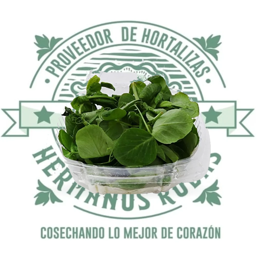 Brote de chícharo fresco gourmet 100g en domo transparente de Distribuidora Hermanos Rojas