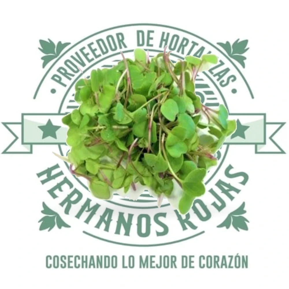 Brote de rábano fresco gourmet en domo de 100g de alta calidad nutricional