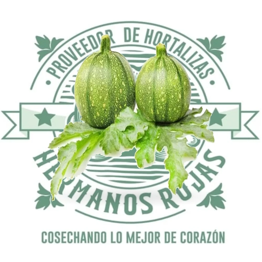 Calabaza Bola fresca de alta calidad de Distribuidora Hermanos Rojas Querétaro