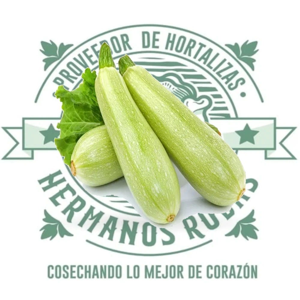 Calabaza italiana fresca de alta calidad distribuida por Hermanos Rojas en Querétaro