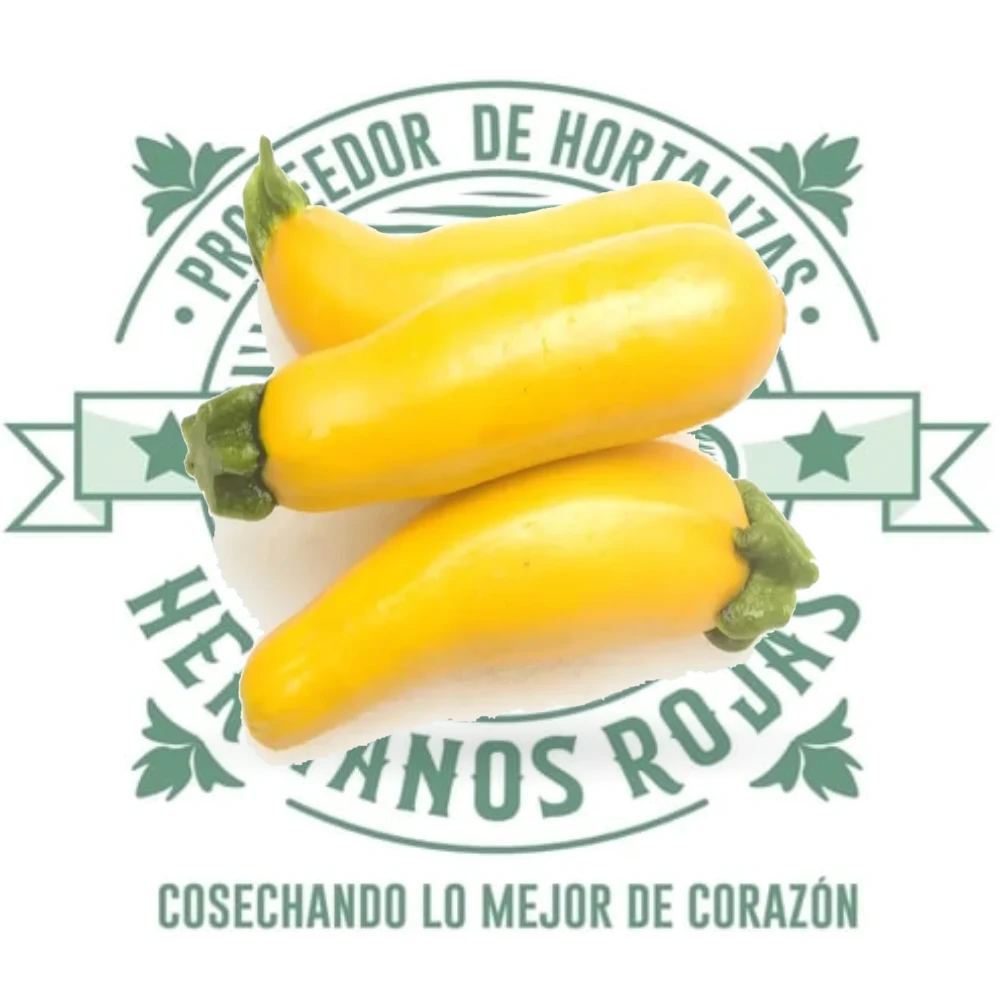 Calabaza Zucchini Amarilla Grandprize color amarillo intenso con pedúnculo verde de Hermanos Rojas