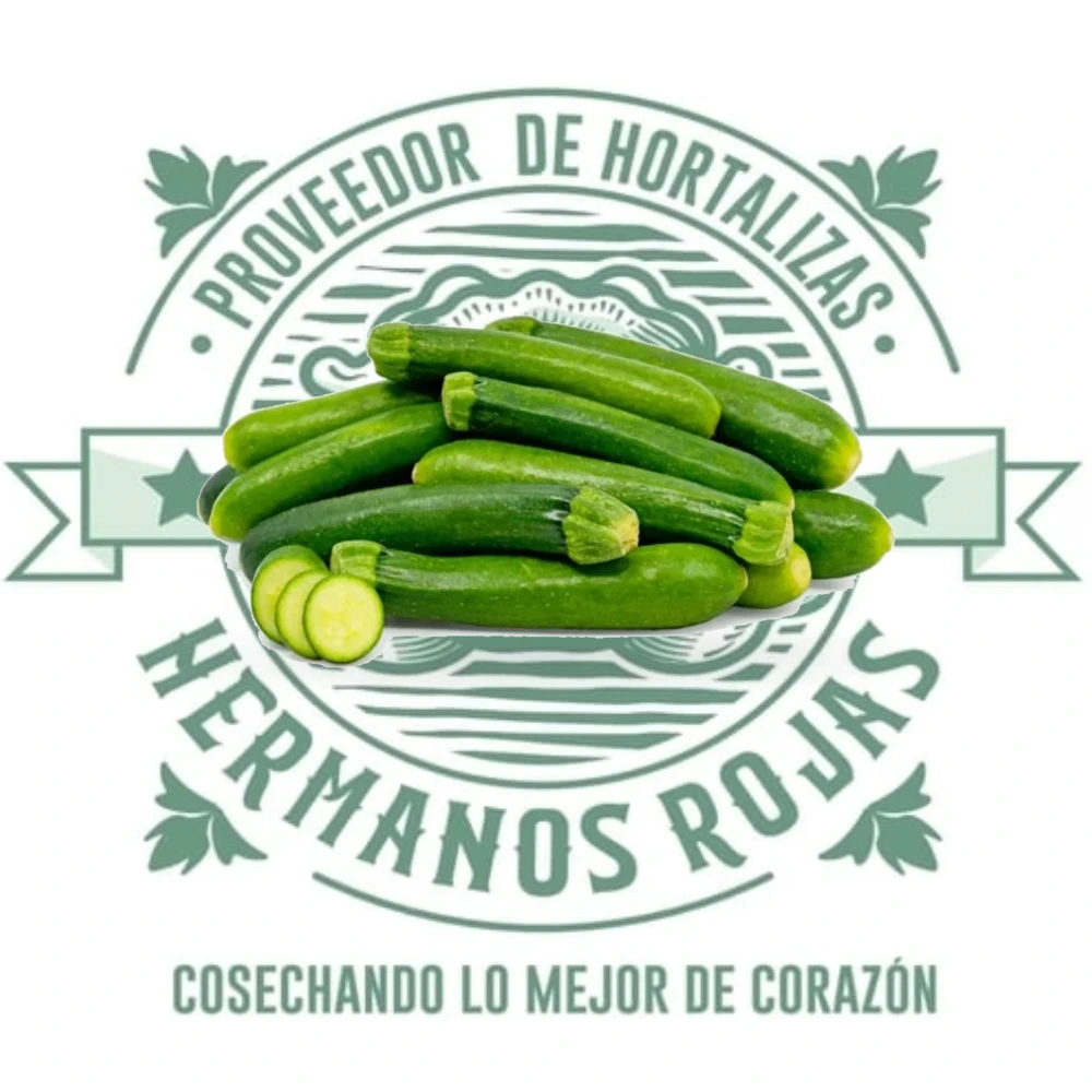 Calabaza zucchini verde oscuro premium de 7 centímetros de largo, producto gourmet de Querétaro