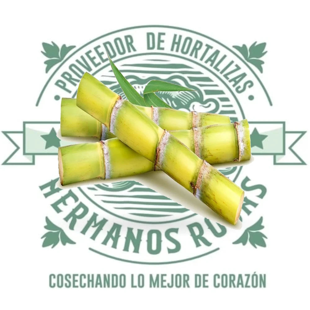 Caña fruta exótica en forma de estrella, rica en vitaminas, distribuida por Hermanos Rojas en Querétaro
