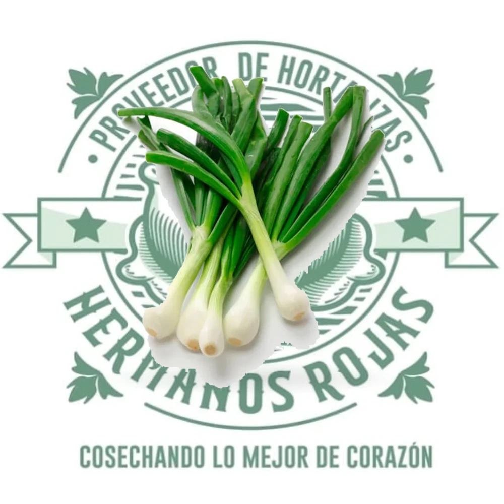 CEBOLLA CAMBRAY KG