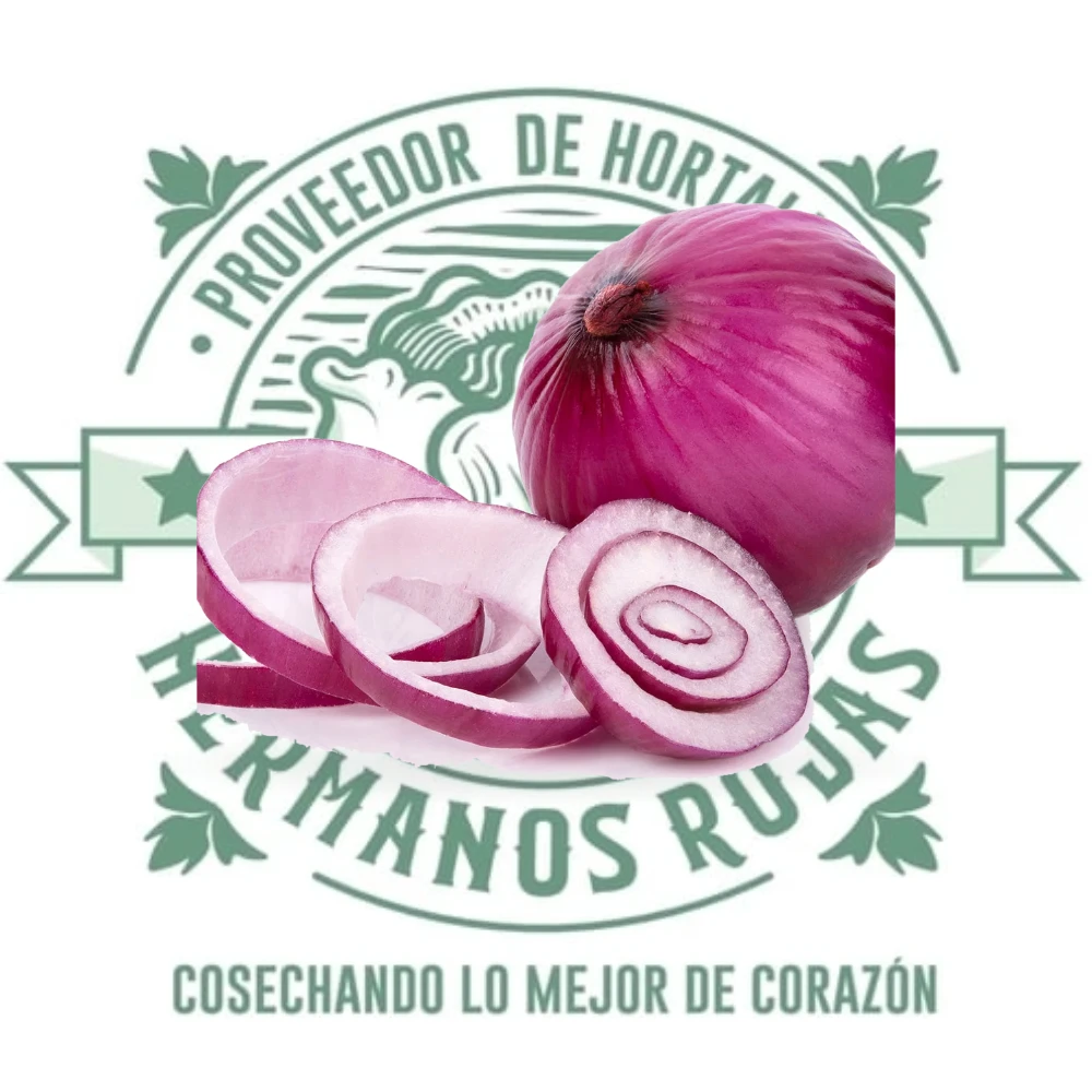 CEBOLLA MORADA