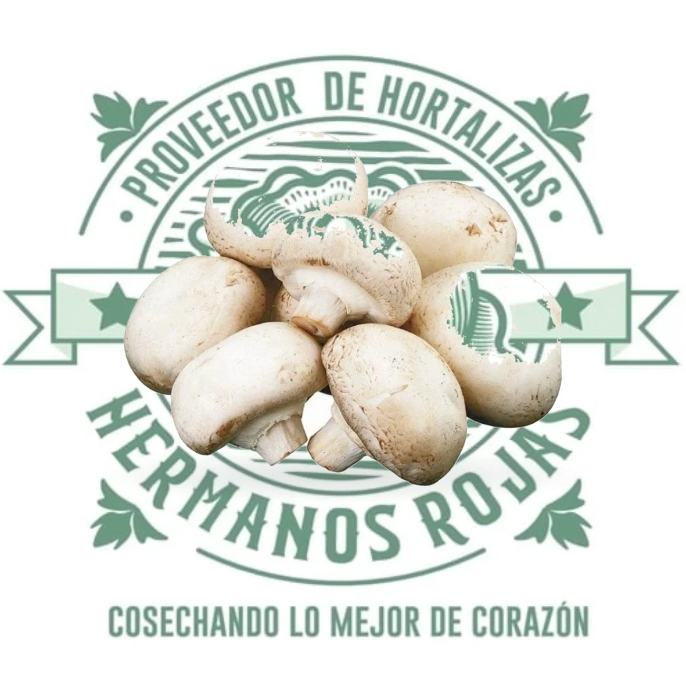 CHAMPIÑON