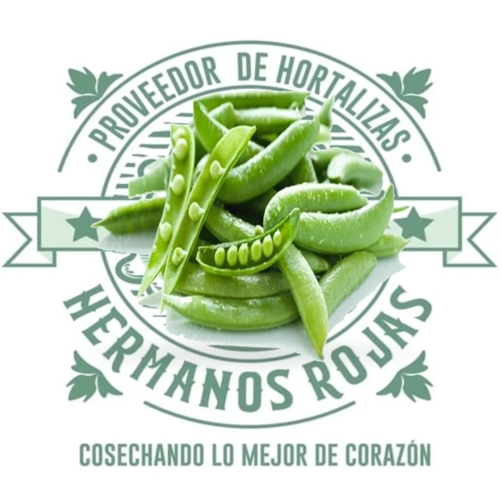 Chícharo vaina fresco en vaina verde, producto de Distribuidora Hermanos Rojas Querétaro