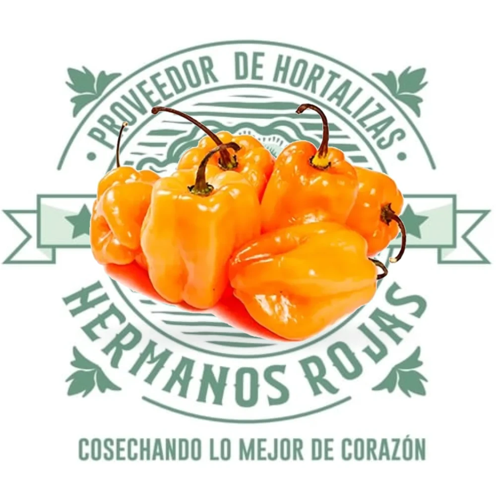 CHILE HABANERO